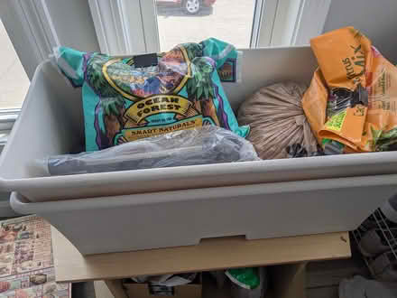 Photo of free Plants and Garden stuff (Revere) #4