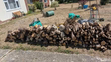 Photo of free Dry log wood (Southbourne BH6) #2