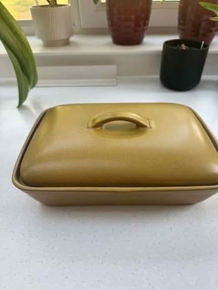 Photo of free Denby Divided Vegetable Dish (Balcombe RH17) #1