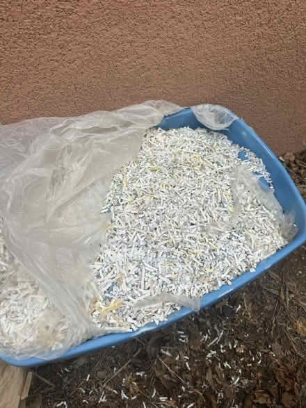 Photo of free Shredded Paper (Carlisle/Gibson) #1