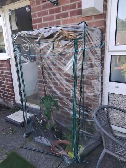 Photo of free Tomato.huse (Middleton M24) #1