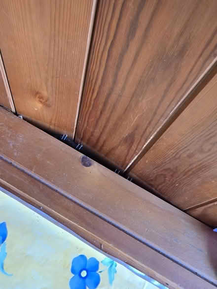 Photo of free Welsh dresser (Rayleigh SS6) #2