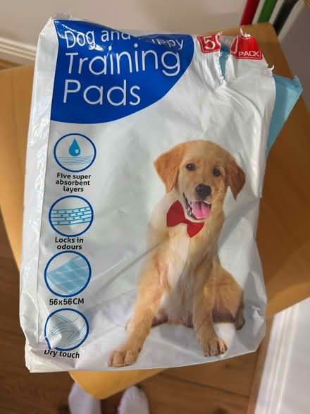 Photo of free Puppy training pads (one 4ish used) (Winchester SO22) #1