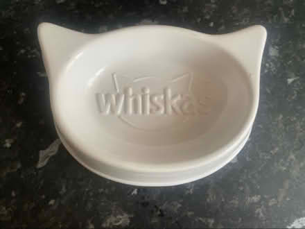 Photo of free Ceramic Cat Bowl (Cheshunt En8) #1