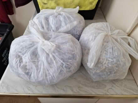Photo of free Shredded Paper (Middle Deal CT14) #1