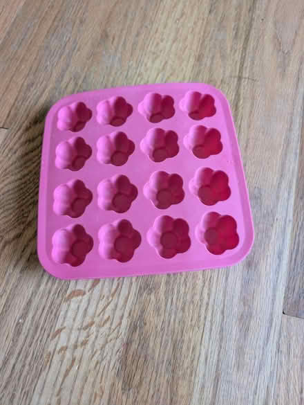 Photo of free Mold (Ellicott City, MD) #1