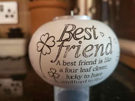 Photo of free Best Friend tea light holder (Cherry Orchard SY2) #1
