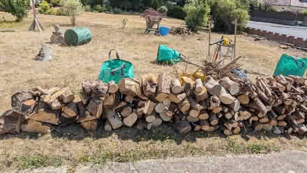 Photo of free Dry log wood (Southbourne BH6) #1