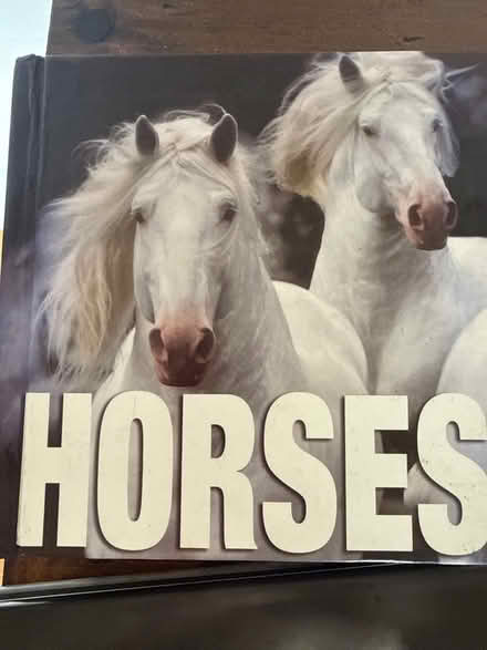 Photo of free Little horse book (Piedmont) #2