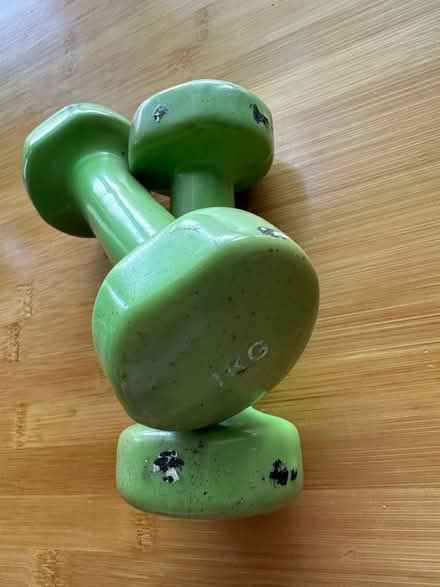Photo of free Pair of 1KG weights (Nailsworth GL6) #2