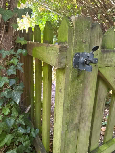 Photo of free Garden fence (Loughton IG10) #2