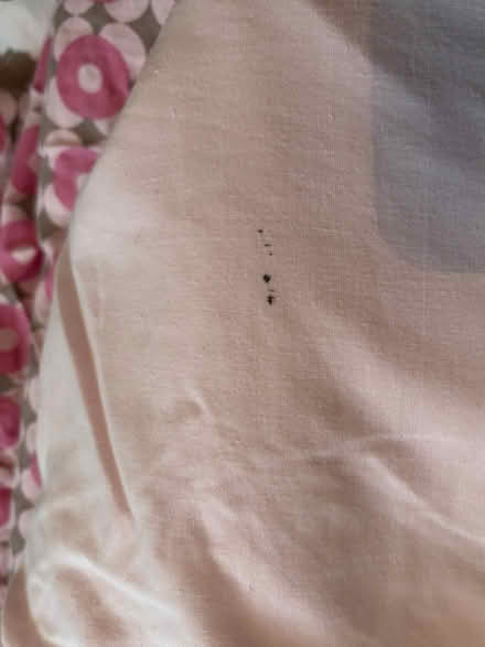 Photo of free Double complete bed set (Letchworth SG6) #4