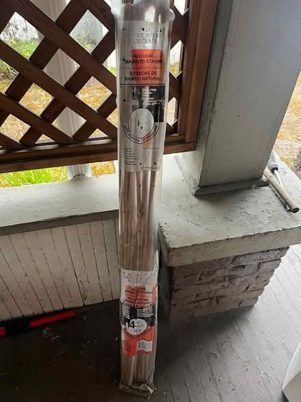 Photo of free Bamboo sticks (Greenwood) #2