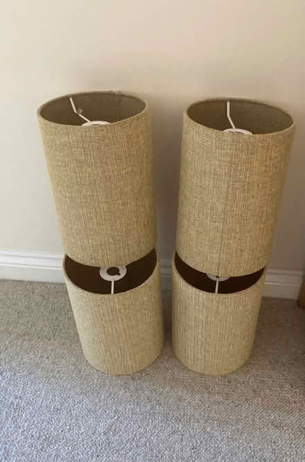 Photo of free 4 Next Lampshades (Wivenhoe CO7) #1