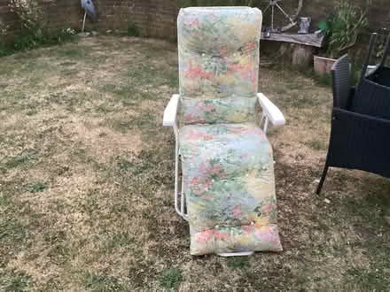 Photo of free Pair of sun, garden recliners (Greater Leys OX4) #1