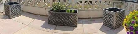 Photo of free 3 Lazzo Planters with compost (Torre TQ2) #1