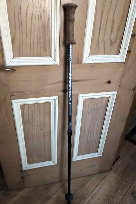Photo of free Walking stick (Belper DE56) #1