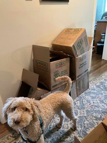 Photo of free Book boxes, used once (Chesterbrook) #2