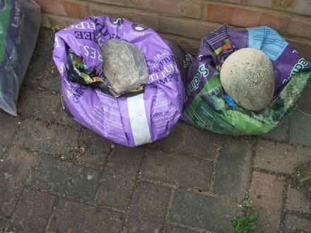 Photo of free Two bags compost (Molesey KT8) #1