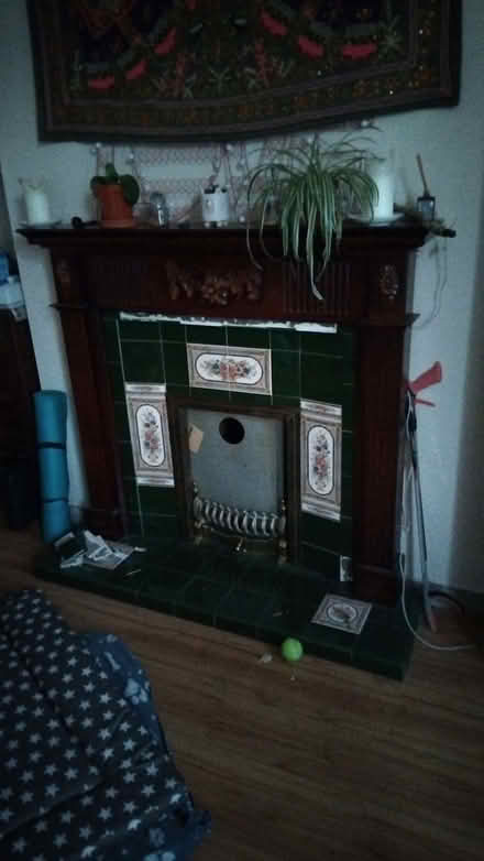 Photo of free fireplace (Burley LS4) #1