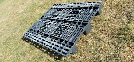 Photo of free Euro pallet (Chinnor / Radnage OX39 4) #2