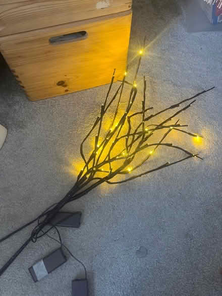 Photo of free Decorative Twigs (Grangetown CF11) #1