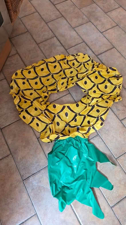 Photo of free Inflatable Lilo and Pineapple ring (West Bridgford NG2) #2