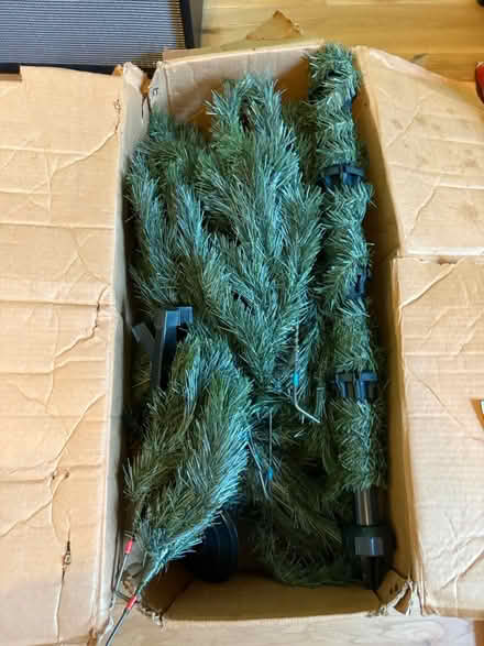 Photo of free Christmas tree (Cb58dt) #1