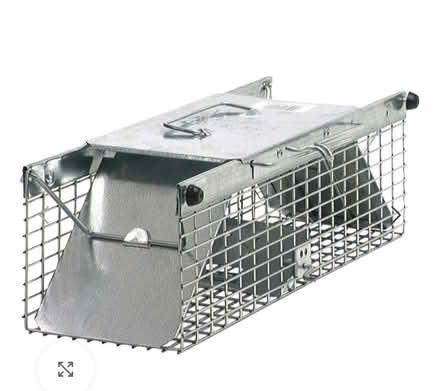 Photo of free Live trap (Odenton) #1