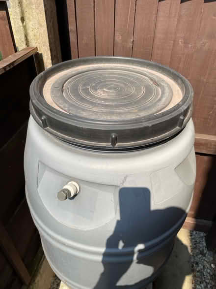 Photo of free Water Butt / Barrel (Reddish (SK5)) #2