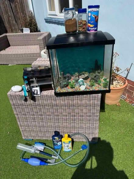 Photo of free Tropical Fish Tank (Worthing BN13) #1