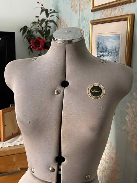Photo of free Vintage adjustable dressmakers dummy (Potter Street CM17) #2