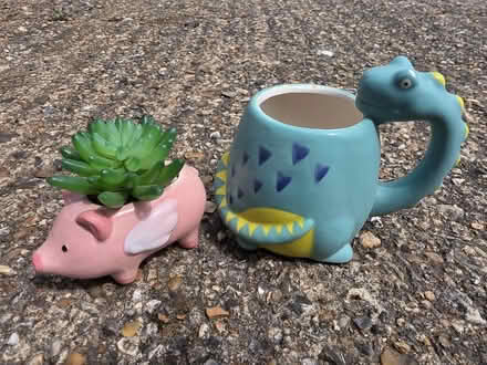 Photo of free Small Pig Flowerpot & Dino Mug (St. Dunstan's CT2) #1