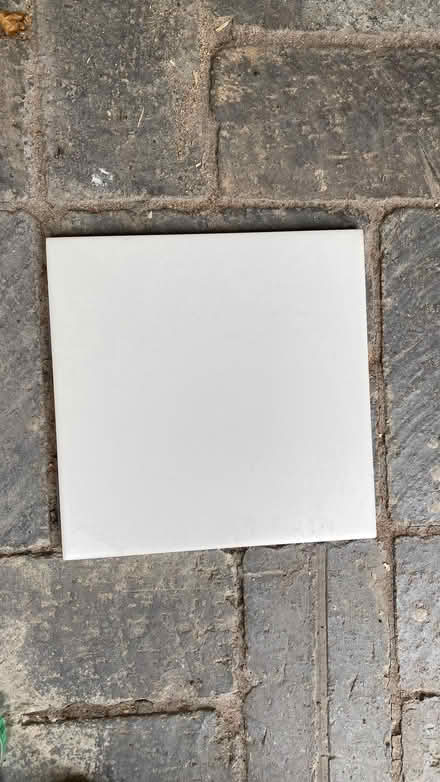 Photo of free White tiles (Perry Vale SE23) #1