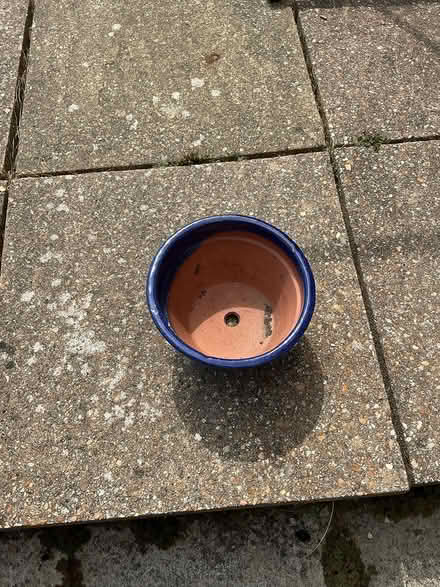 Photo of free Garden pot (Calcot RG31) #1