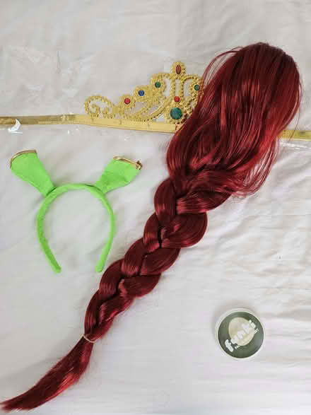 Photo of free Shrek Fiona Fancy Dress (Highgate N6) #2