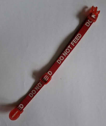 Photo of free Do not feed cat collar (Windlesham (GU20)) #1