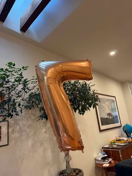 Photo of free Number 7 balloon (Mt. Pleasant) #1