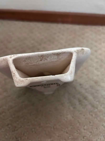Photo of free Ceramics (east Petaluma) #4