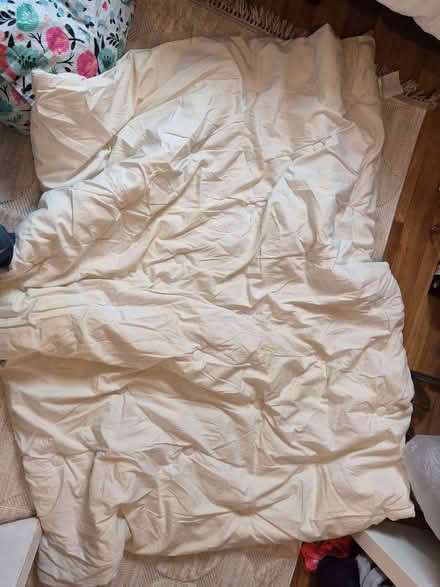 Photo of free Single 10.5 tog single duvet (Abbeyhill EH7) #1