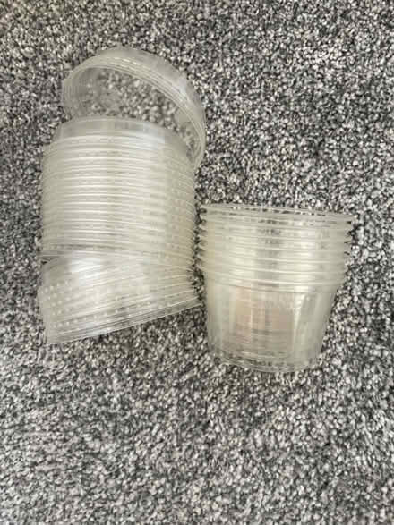 Photo of free Biodegradable food pots (Maldon CM9) #2