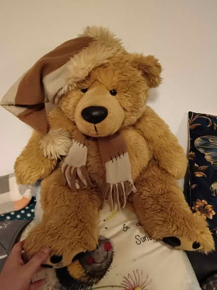 Photo of free Big teddy (St. Stephen's CT2) #1