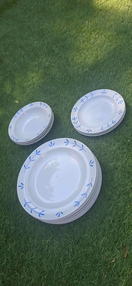 Photo of free Habitat Blewbury dinner service (Pontfaen LL14) #1