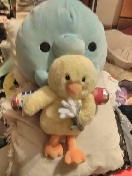 Photo of free cuddler cushion and fluffy chick (Poulton CH44) #1