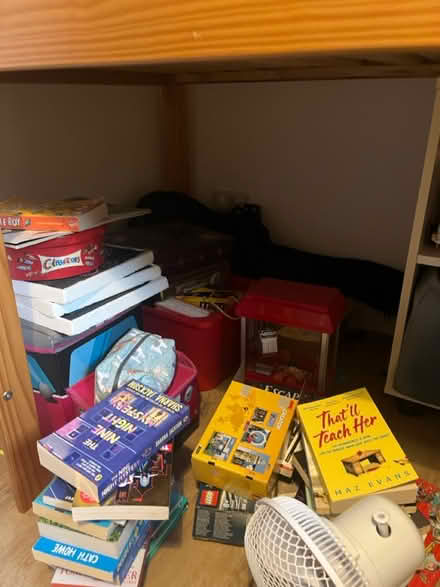 Photo of free Kids bunk bed with pull out table (CR8) #4