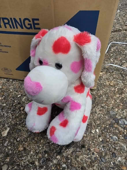 Photo of free Cuddly Puppy, Bright Colours, Foot Long, Build-a-Bear (St. Dunstan's CT2) #1