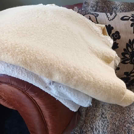 Photo of free Blankets for animals (Kinver DY7) #1
