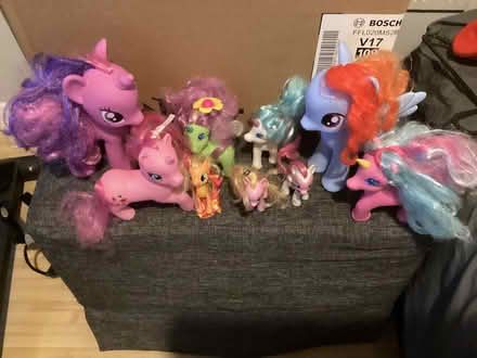 Photo of free Unicorns (Greater Leys OX4) #1