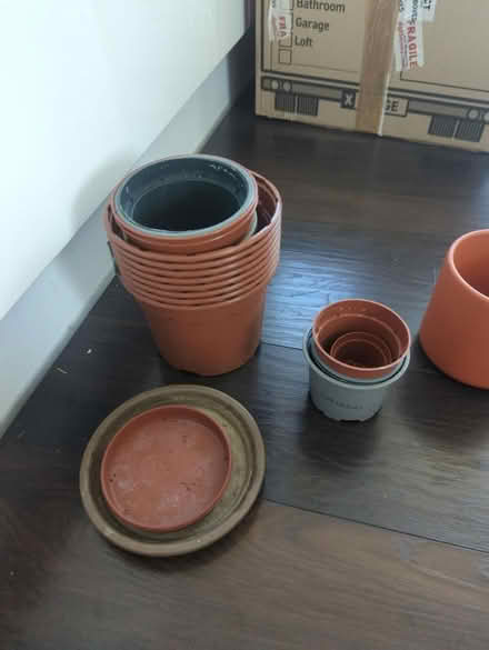 Photo of free Plant pots (Colliers Wood SW19) #2
