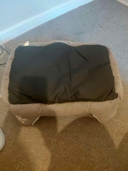 Photo of free Cat bed (Catford SE6) #1